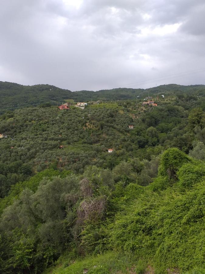 Casa Di Vecchio Borgo Villa Sarzana Eksteriør billede